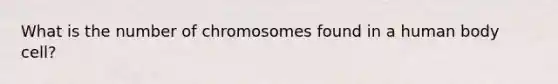 What is the number of chromosomes found in a human body cell?