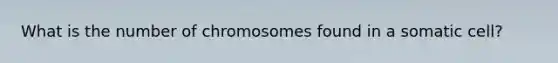 What is the number of chromosomes found in a somatic cell?