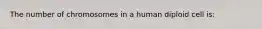 The number of chromosomes in a human diploid cell is: