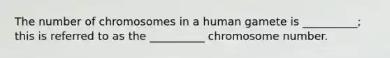 The number of chromosomes in a human gamete is __________; this is referred to as the __________ chromosome number.