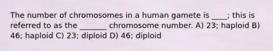 The number of chromosomes in a human gamete is ____; this is referred to as the _______ chromosome number. A) 23; haploid B) 46; haploid C) 23; diploid D) 46; diploid