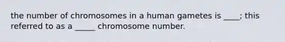 the number of chromosomes in a human gametes is ____; this referred to as a _____ chromosome number.