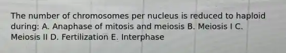 The number of chromosomes per nucleus is reduced to haploid during: A. Anaphase of mitosis and meiosis B. Meiosis I C. Meiosis II D. Fertilization E. Interphase