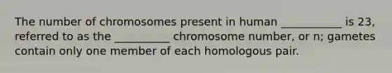 The number of chromosomes present in human ___________ is 23, referred to as the __________ chromosome number, or n; gametes contain only one member of each homologous pair.