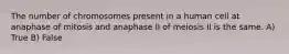 The number of chromosomes present in a human cell at anaphase of mitosis and anaphase II of meiosis II is the same. A) True B) False