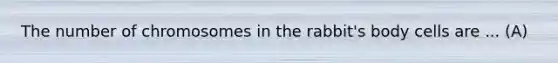 The number of chromosomes in the rabbit's body cells are ... (A)