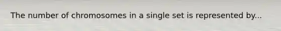 The number of chromosomes in a single set is represented by...