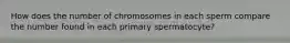 How does the number of chromosomes in each sperm compare the number found in each primary spermatocyte?