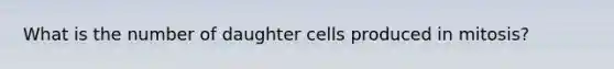 What is the number of daughter cells produced in mitosis?