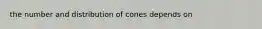 the number and distribution of cones depends on