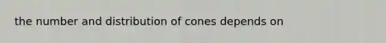 the number and distribution of cones depends on