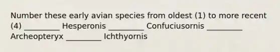 Number these early avian species from oldest (1) to more recent (4) _________ Hesperonis _________ Confuciusornis _________ Archeopteryx _________ Ichthyornis