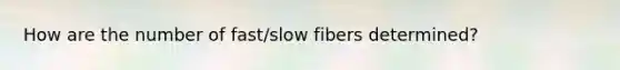 How are the number of fast/slow fibers determined?