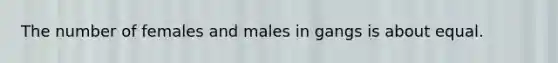 The number of females and males in gangs is about equal.