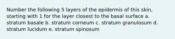 Number the following 5 layers of the epidermis of this skin, starting with 1 for the layer closest to the basal surface a. stratum basale b. stratum corneum c. stratum granulosum d. stratum lucidum e. stratum spinosum