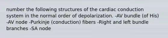 number the following structures of the cardiac conduction system in the normal order of depolarization. -AV bundle (of His) -AV node -Purkinje (conduction) fibers -Right and left bundle branches -SA node