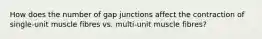 How does the number of gap junctions affect the contraction of single-unit muscle fibres vs. multi-unit muscle fibres?