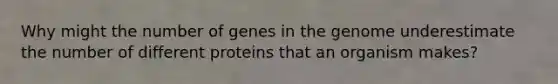 Why might the number of genes in the genome underestimate the number of different proteins that an organism makes?