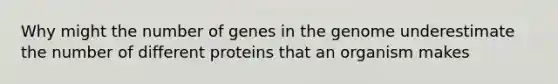 Why might the number of genes in the genome underestimate the number of different proteins that an organism makes