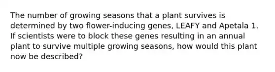 The number of growing seasons that a plant survives is determined by two flower-inducing genes, LEAFY and Apetala 1. If scientists were to block these genes resulting in an annual plant to survive multiple growing seasons, how would this plant now be described?