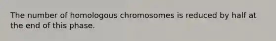 The number of homologous chromosomes is reduced by half at the end of this phase.