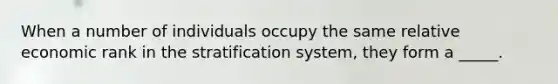 When a number of individuals occupy the same relative economic rank in the stratification system, they form a _____.