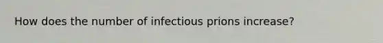 How does the number of infectious prions increase?