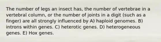 The number of legs an insect has, the number of vertebrae in a vertebral column, or the number of joints in a digit (such as a finger) are all strongly influenced by A) haploid genomes. B) introns within genes. C) heterotic genes. D) heterogeneous genes. E) Hox genes.