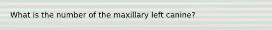 What is the number of the maxillary left canine?