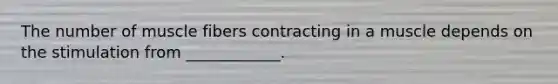 The number of muscle fibers contracting in a muscle depends on the stimulation from ____________.