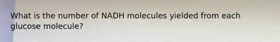 What is the number of NADH molecules yielded from each glucose molecule?