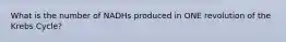 What is the number of NADHs produced in ONE revolution of the Krebs Cycle?