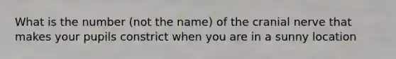 What is the number (not the name) of the cranial nerve that makes your pupils constrict when you are in a sunny location