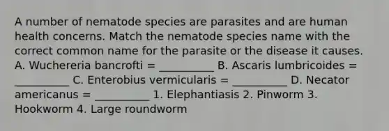 A number of nematode species are parasites and are human health concerns. Match the nematode species name with the correct common name for the parasite or the disease it causes. A. Wuchereria bancrofti = __________ B. Ascaris lumbricoides = __________ C. Enterobius vermicularis = __________ D. Necator americanus = __________ 1. Elephantiasis 2. Pinworm 3. Hookworm 4. Large roundworm