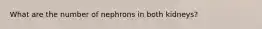 What are the number of nephrons in both kidneys?