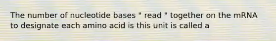 The number of nucleotide bases " read " together on the mRNA to designate each amino acid is this unit is called a