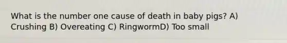 What is the number one cause of death in baby pigs? A) Crushing B) Overeating C) RingwormD) Too small