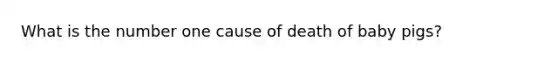 What is the number one cause of death of baby pigs?