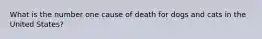 What is the number one cause of death for dogs and cats in the United States?