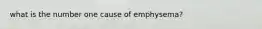 what is the number one cause of emphysema?