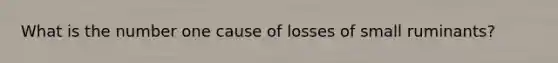 What is the number one cause of losses of small ruminants?