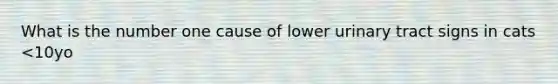 What is the number one cause of lower urinary tract signs in cats <10yo