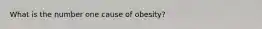 What is the number one cause of obesity?