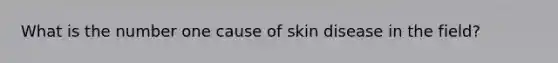 What is the number one cause of skin disease in the field?