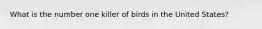 What is the number one killer of birds in the United States?