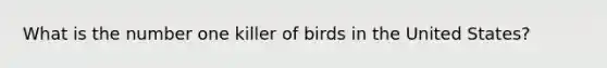 What is the number one killer of birds in the United States?