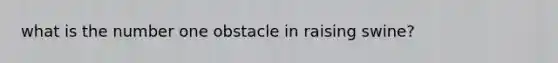 what is the number one obstacle in raising swine?