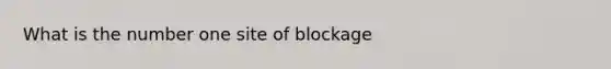 What is the number one site of blockage