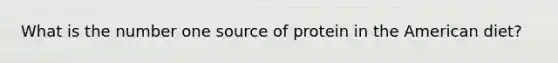 What is the number one source of protein in the American diet?