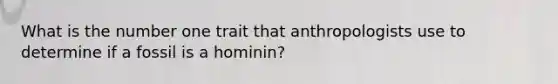 What is the number one trait that anthropologists use to determine if a fossil is a hominin?